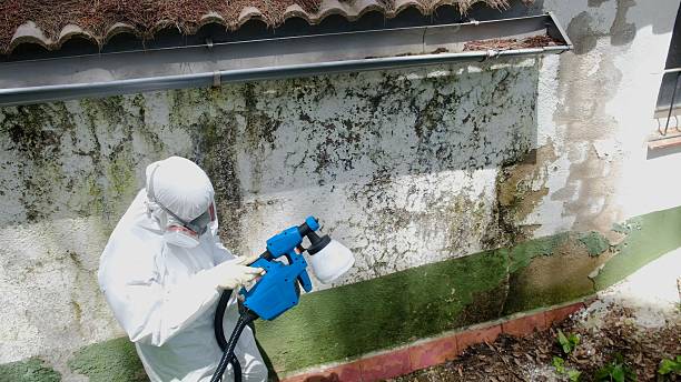 Trusted Mold Inspection service in West Salisbury, PA - Cheap Mold Removal